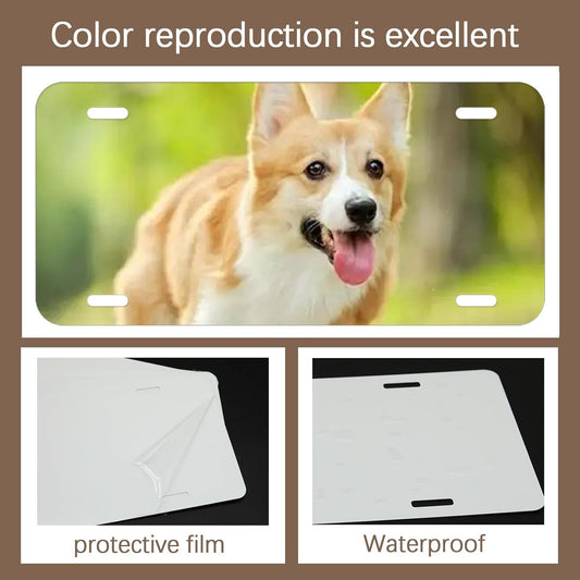 Metal Plate for Car
